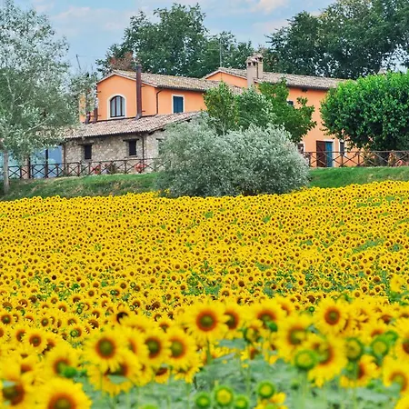 Fantastisches Haus Mit 3 Schlafzimmern In Ferienhaus Marcellano
